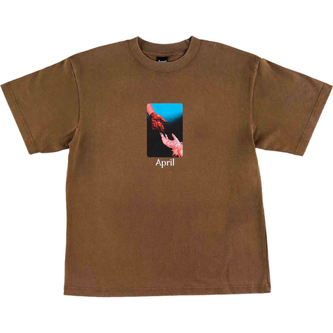 April Skateboards 'Material' Heavyweight Tee - Washed Brown
