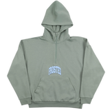 Frosted Skateboards Quarter-Zip Hoodie - Dusty Green