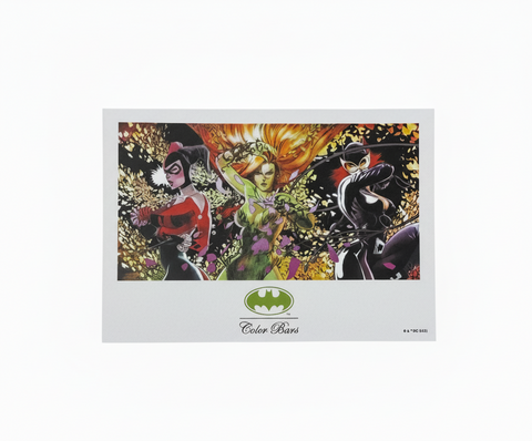 Color Bars x Batman 'Girl Power' Sticker - Multi
