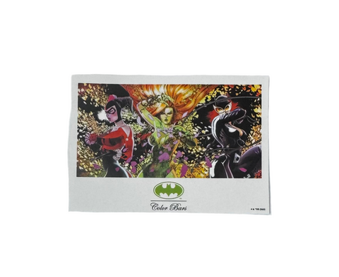 Color Bars x Batman 'Girl Power' Sticker - Multi