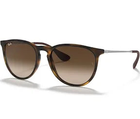 Ray-Ban 'Erika' Sunglasses - Matte Havana / Brown