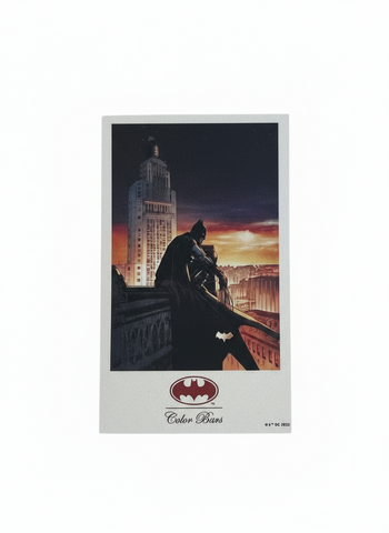 Color Bars x Batman 'Sky View' Sticker - Orange