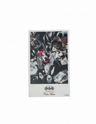 Color Bars x Batman 'All Vilains' Sticker - Multi
