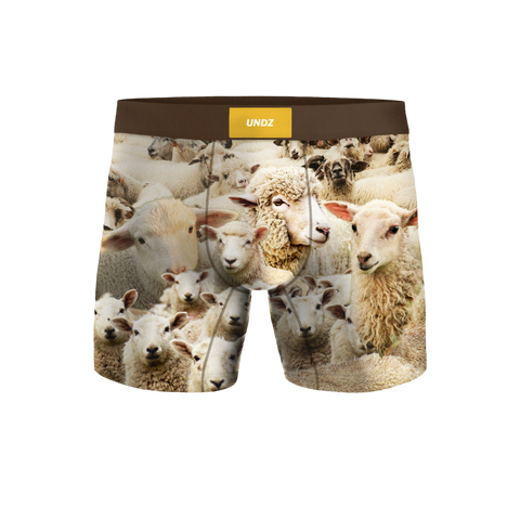 UNDZ 'Bin Des Moutons' Boxer - White