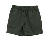 Vans 'Range' EW Shorts - Green