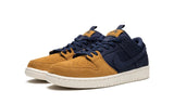 Nike SB 'Dunk Low Pro PRM' Shoes - 90s Backback